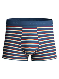 Boxer Brief
